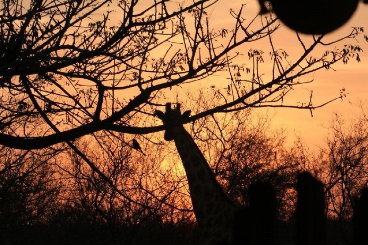 Bushvilla Umoja Kruger 팔라보르와 외부 사진