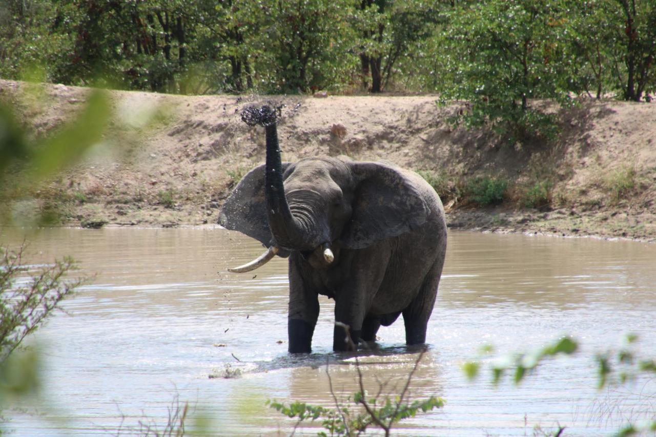 Bushvilla Umoja Kruger 팔라보르와 외부 사진