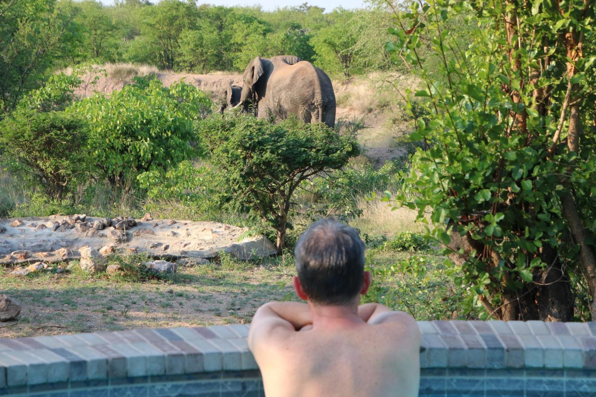 Bushvilla Umoja Kruger 팔라보르와 외부 사진