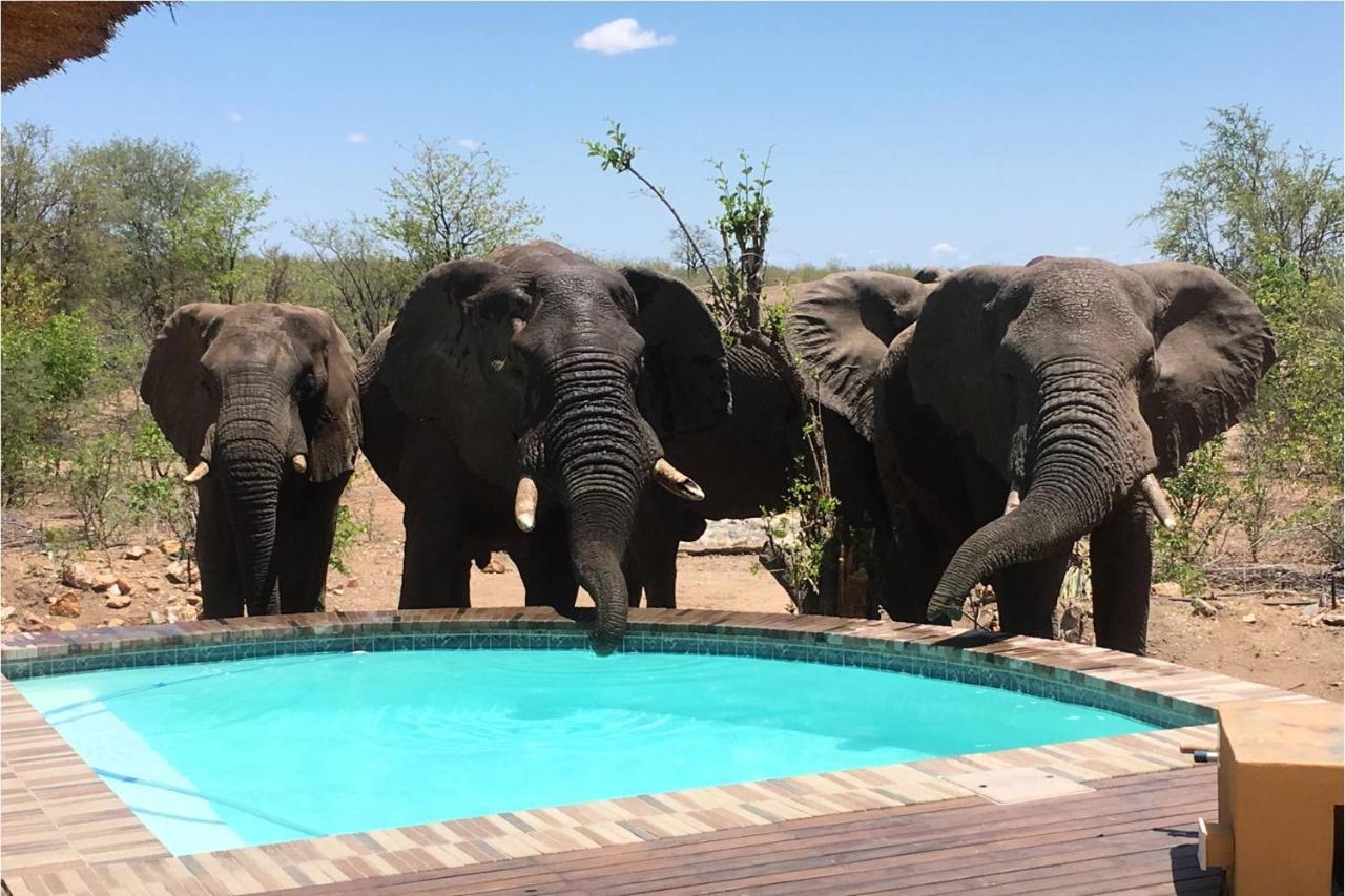 Bushvilla Umoja Kruger 팔라보르와 외부 사진